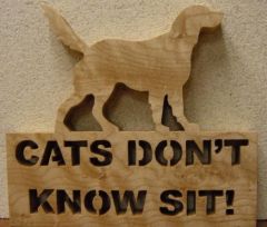 Cats Do Not Know Sit