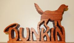Dunkin Retriever