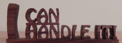 I Can Handle It