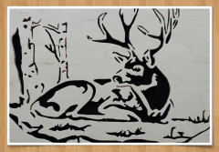 buck bedded down