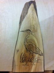 Blue Heron