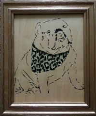bulldog