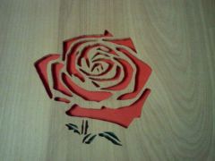 Scroll Rose