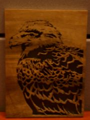 Eagle (eaglet?)
