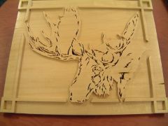 Relief Moose