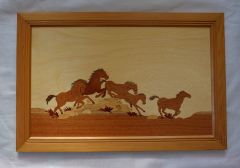Wild Horses