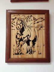 Mr. Muscle, Pattern by Birchbark