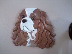 baily