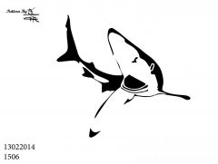 blue shark