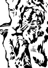 lion Cub