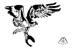 Harpy Eagle with fish