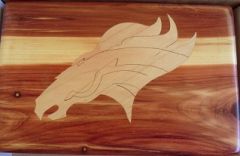 Bronco