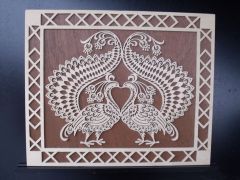loving peacocks