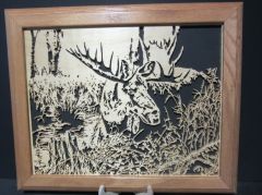 The Bull Moose