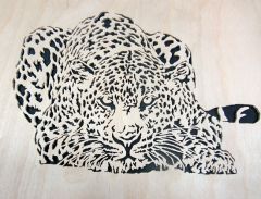 Leopard Stalking     10 12 14