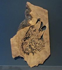 Wolf