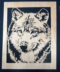 Wolf
