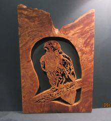 Red hawk