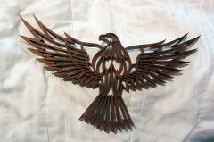 IMG 2596Eagle
