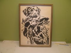 Portrait   Dog