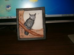 moon Lit Owl 001