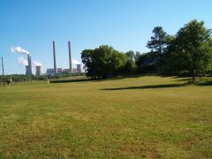 redneck Diy golf coarse 005