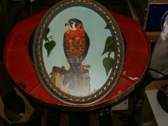 fowl paintings 002
