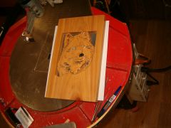 shaped wolfe 002