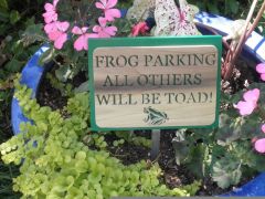 Frog parking