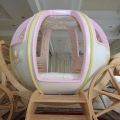 Cinderella bed