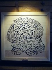 IMG 0665