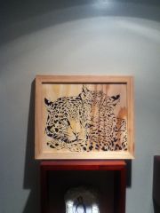 IMG 0609
