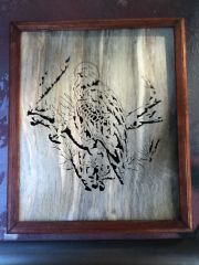 IMG 0786