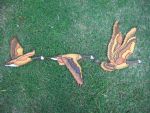 patos intarsia