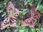 mariposa juntas caladas