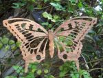 mariposa sola calada