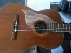 Blackwood Pick Guard