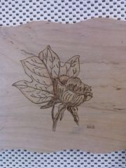 wood burn (Pyrography)  Embellishment