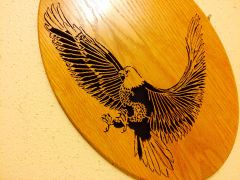The American Bald Eagle