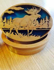 Moose walking along bank