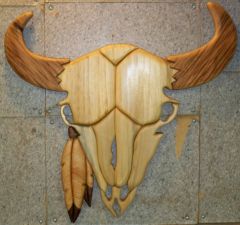 buffalo skull