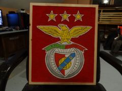 soccer logo