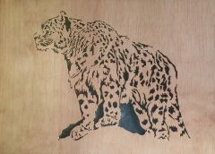 Snow Leopard