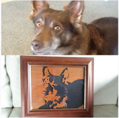 Dog Portrait