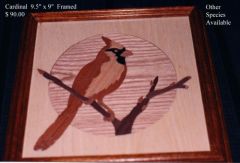 cardinal1