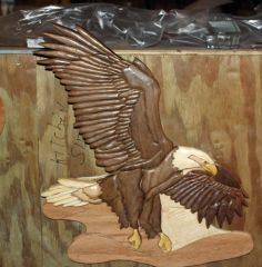 Eagle 2015