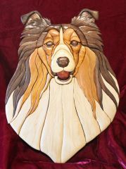 Shelty2