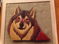 Wolf