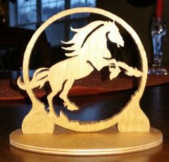 horseincircle