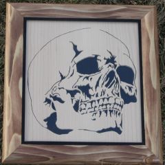 skull 1